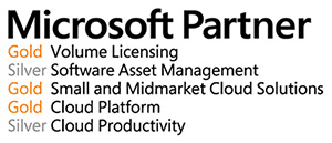 Microsoft Partner Logo 2015