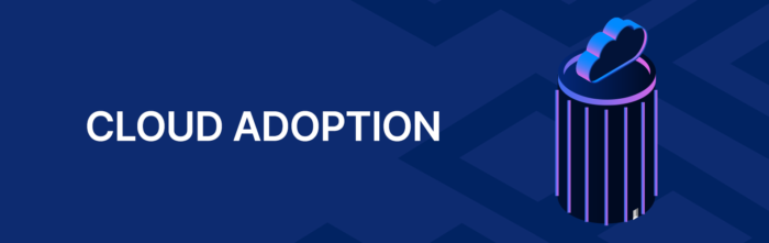 csp_customer_prog_cloud_adoption