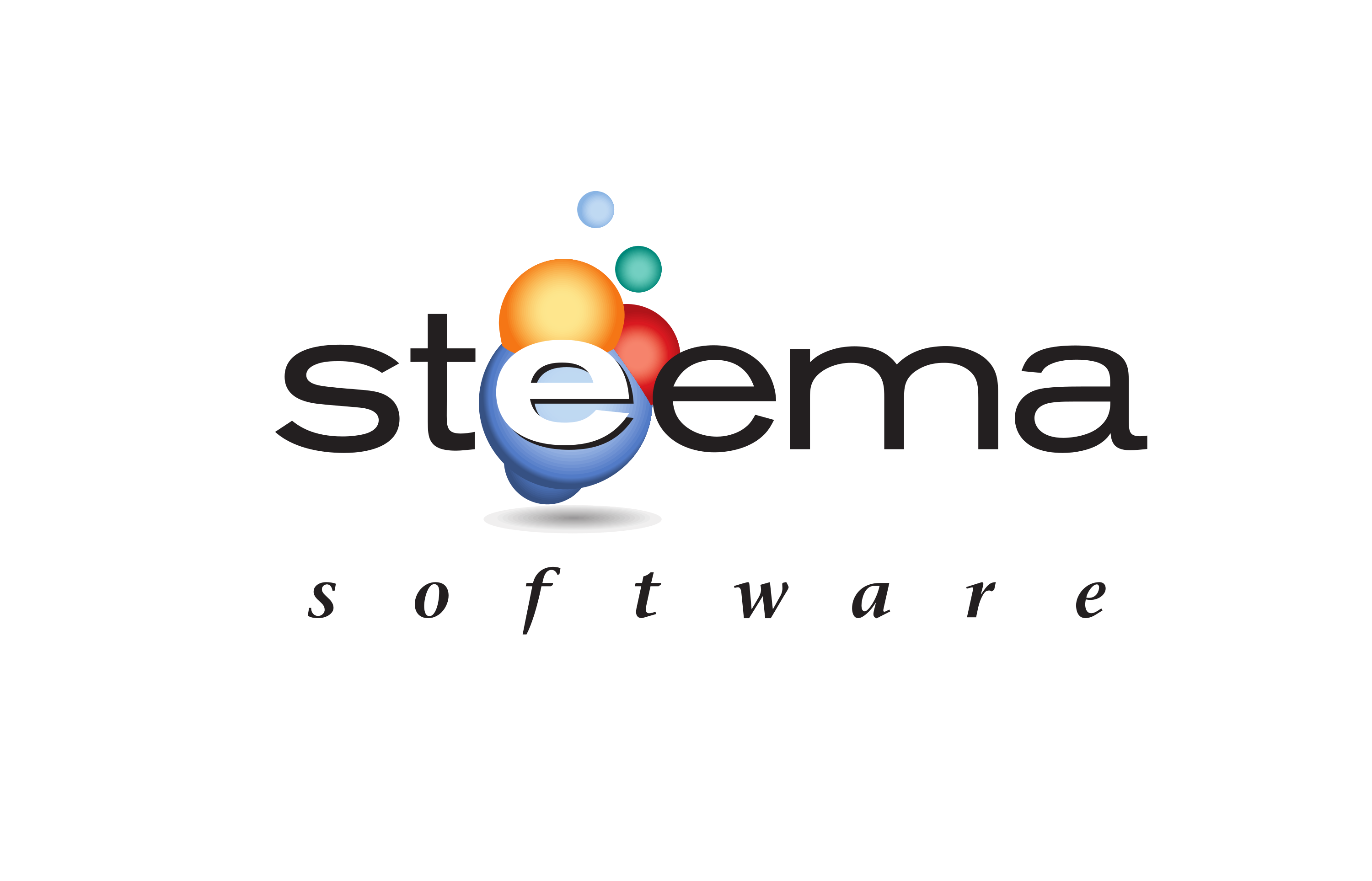 Steema Software logo
