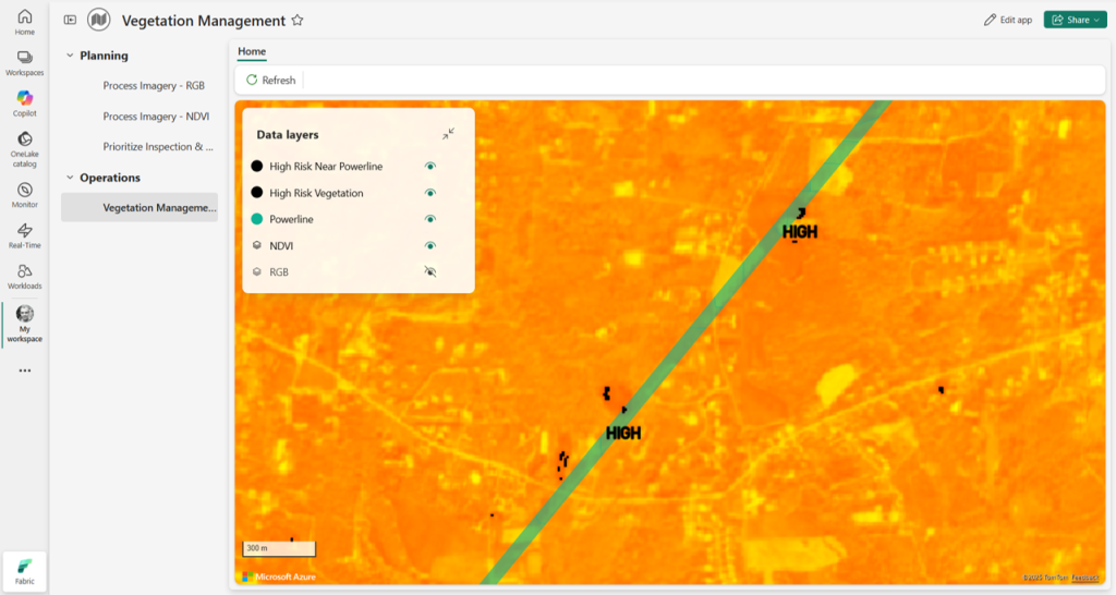 Maps in Fabric - Vegetation Data Layer
