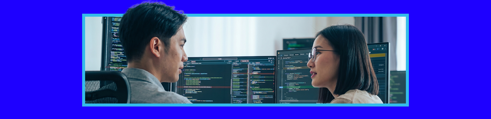 developer